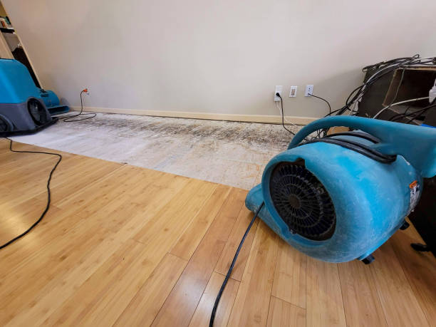 Professional Burst Pipe Water Damage technician working in Adams, TN